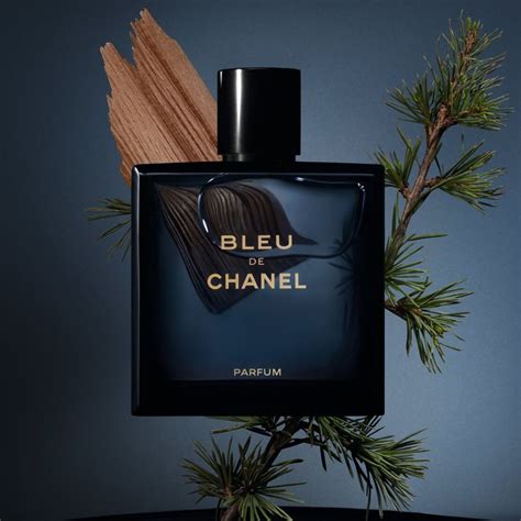 bleu de chanel uomo fragrantica